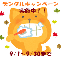 デンタルキャンペーン🦷✨