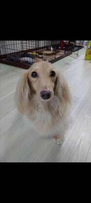 菊ちゃん有難う！！