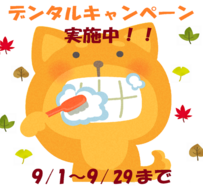 デンタルキャンペーン始まります！
