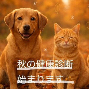 秋の健康診断始まります🍁