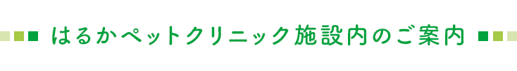 はるかペットクリニック施設内のご案内